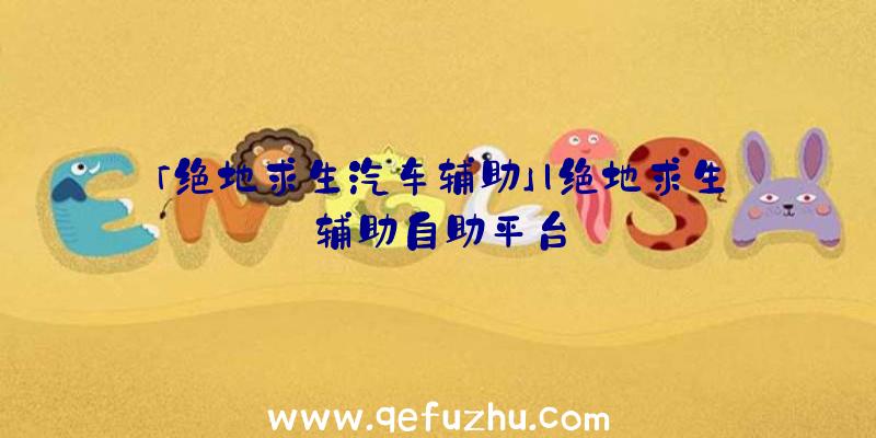 「绝地求生汽车辅助」|绝地求生辅助自助平台